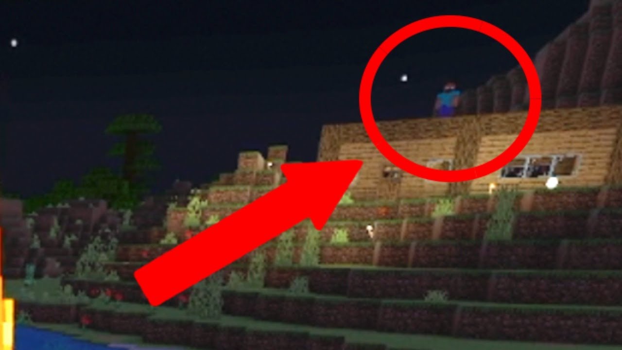 Real Herobrine Sighting 2025