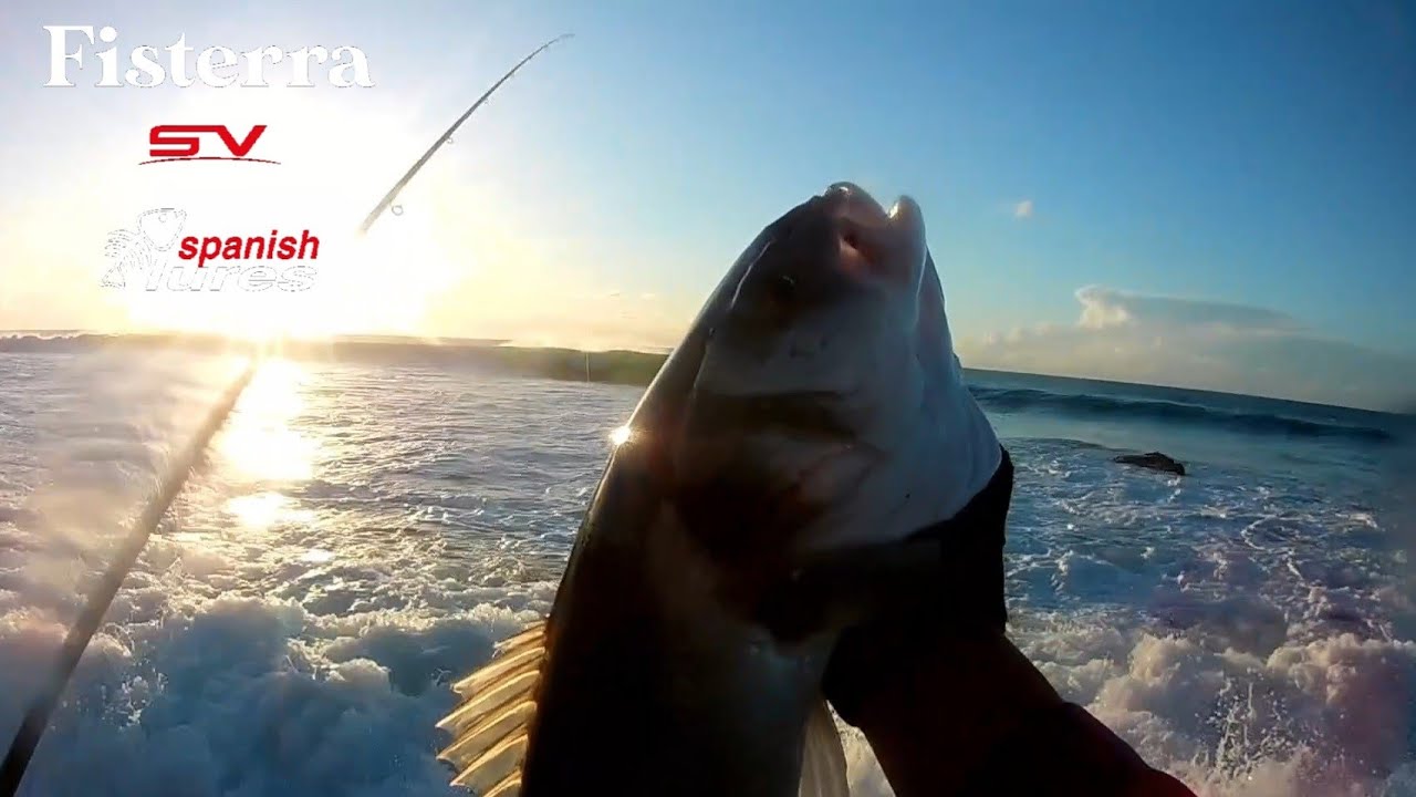 Spinning Costa Alentejana ❤ Robalo Dezembro 2024🐟Spanish Lures Portugal,🎣