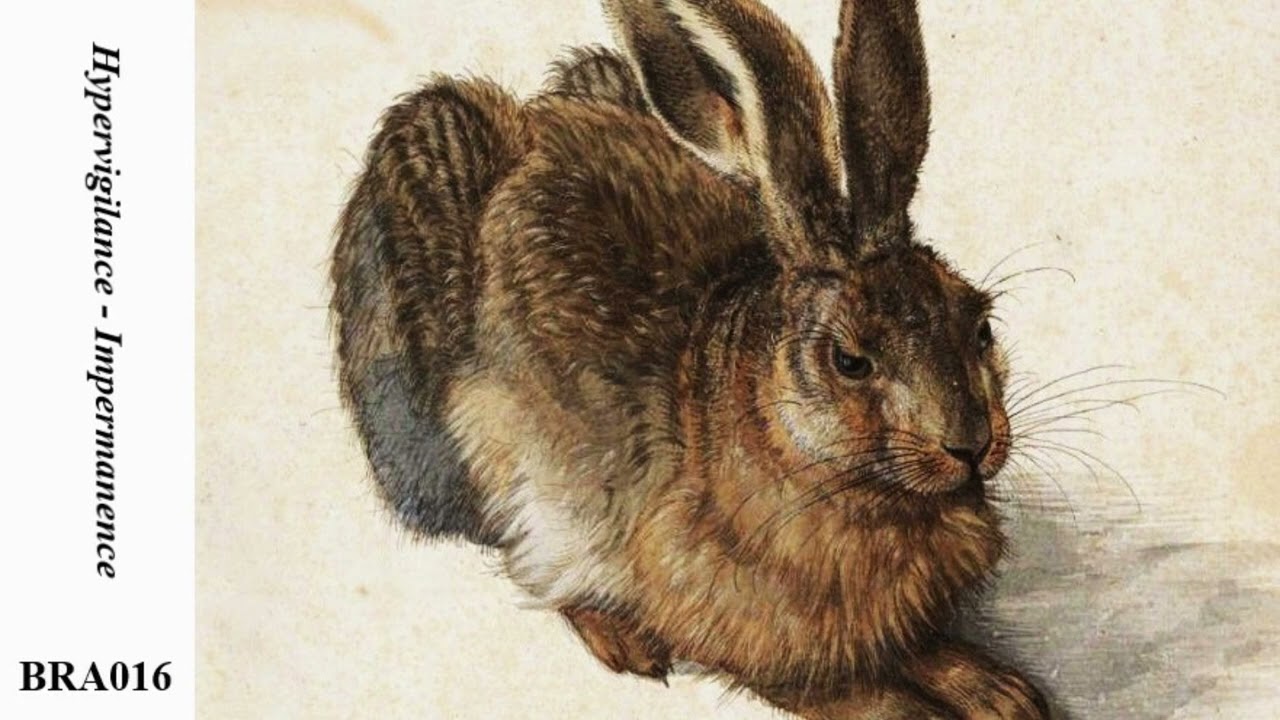 Hypervigilance - Impermanence [BRA016]