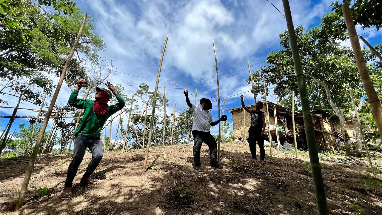 HINDI ko na KAYANG mag FARMiNG due to HEALTH PROBLEM. STOP na?? MAG TIWALA sa DIOS!!