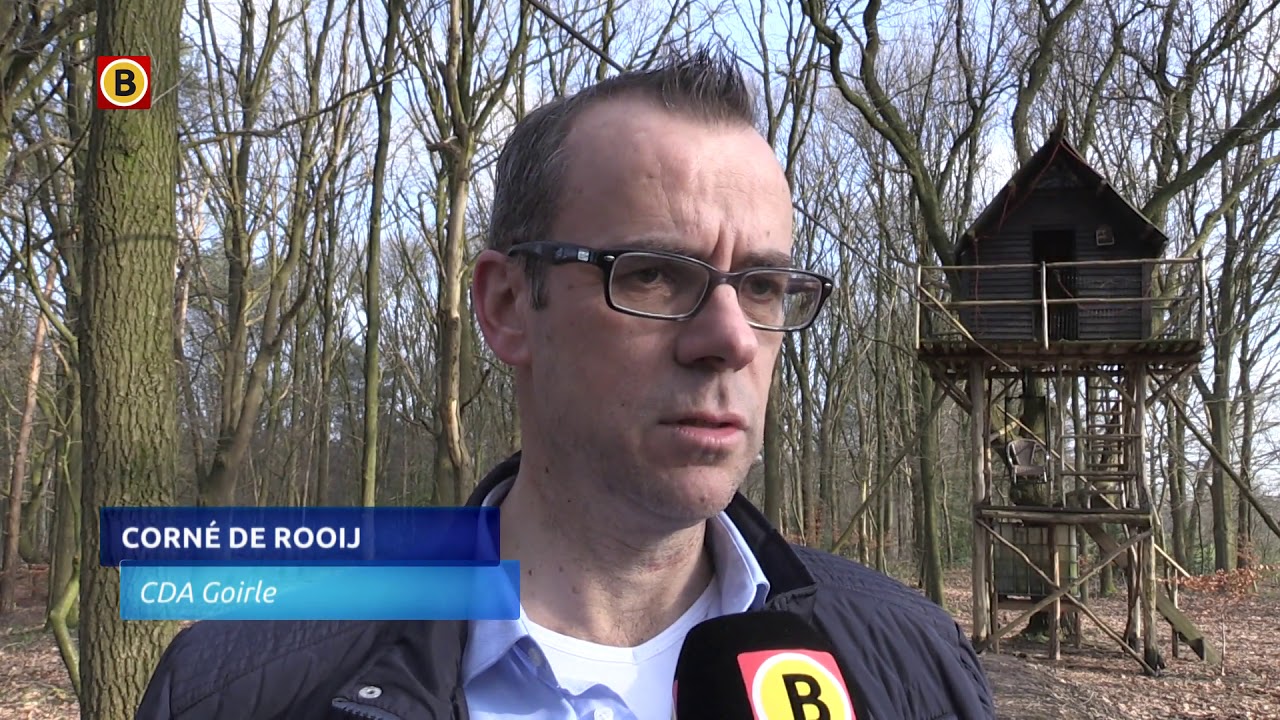 Kritiek op verplichte sloop illegale boomhut:  'We slaan helemaal door'