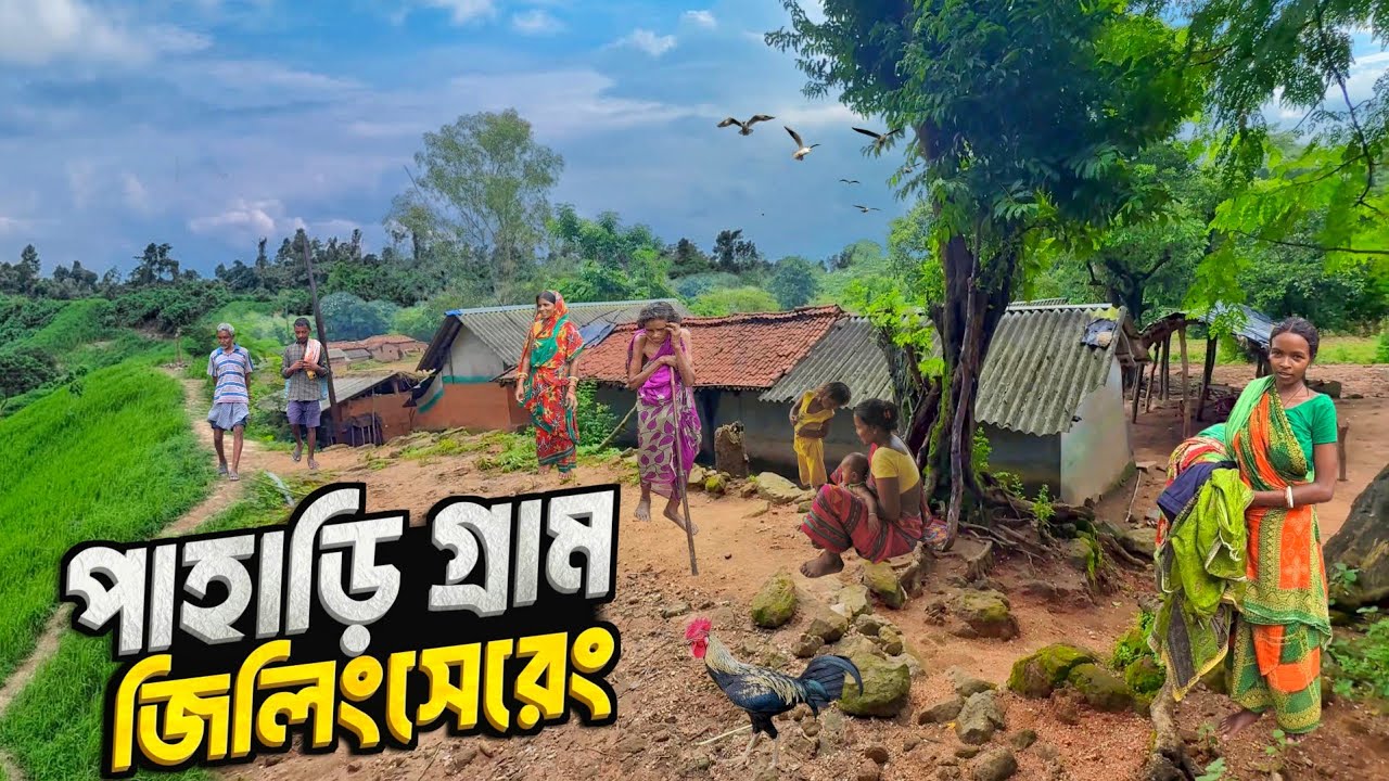 মালতি মুর্মুর গ্রাম জিলিংসেরেং | EXPOSED The TRUTH About Life in Jillingsereng Mountain Village
