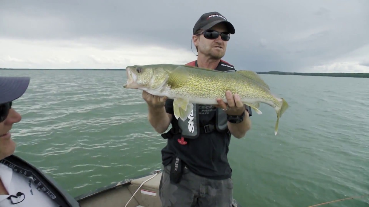 Огромный судак из Альберты на огромные искусственные приманки | Fish'n Canada