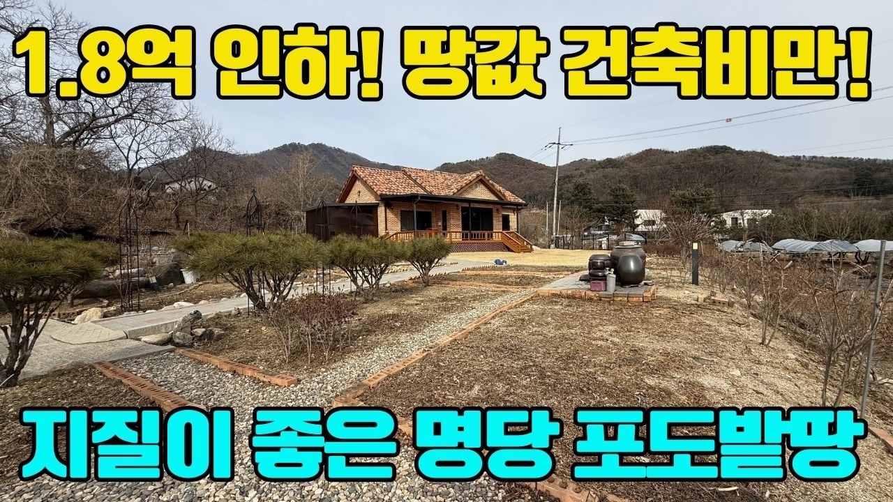 NO.10134◎초급매물, 340평 명당터, 땅지질  좋은 포도밭땅, 신축급 단층주택, 건강한 먹거리생활#양평전원주택급매#양평전원주택추천