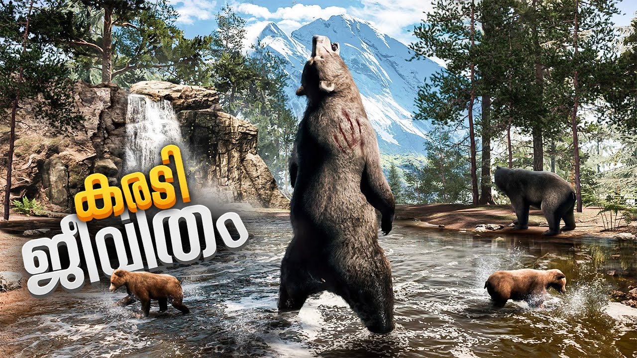 Surviving In The Wilds As A Grizzly Bear Is Not Easy😱