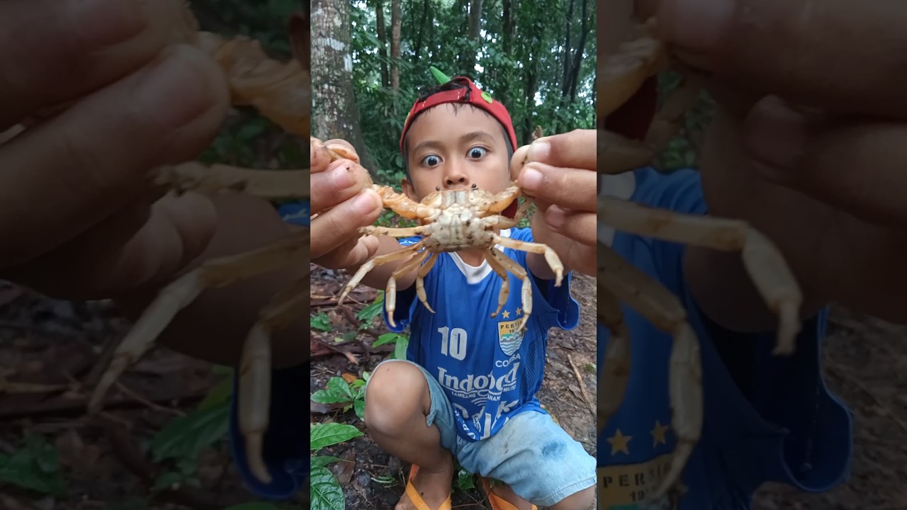 Cara menangkap kepiting 🦀