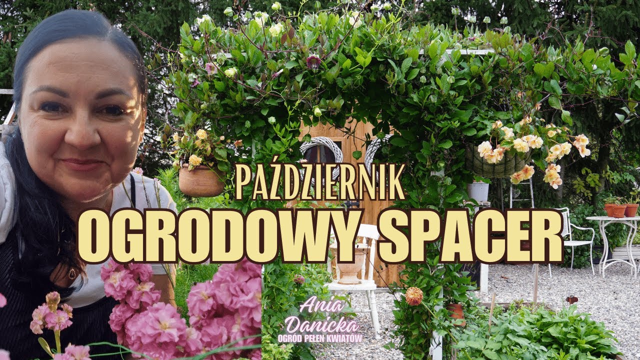 Spacer po ogrodzie kwiatów ciętych w październiku.