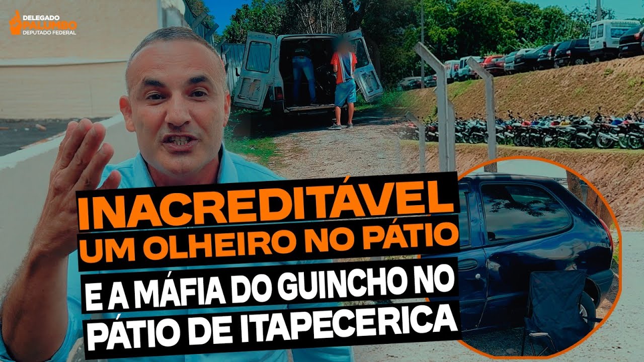INÉDITO - FLAGRAMOS UM OLHEIRO NO PÁTIO!