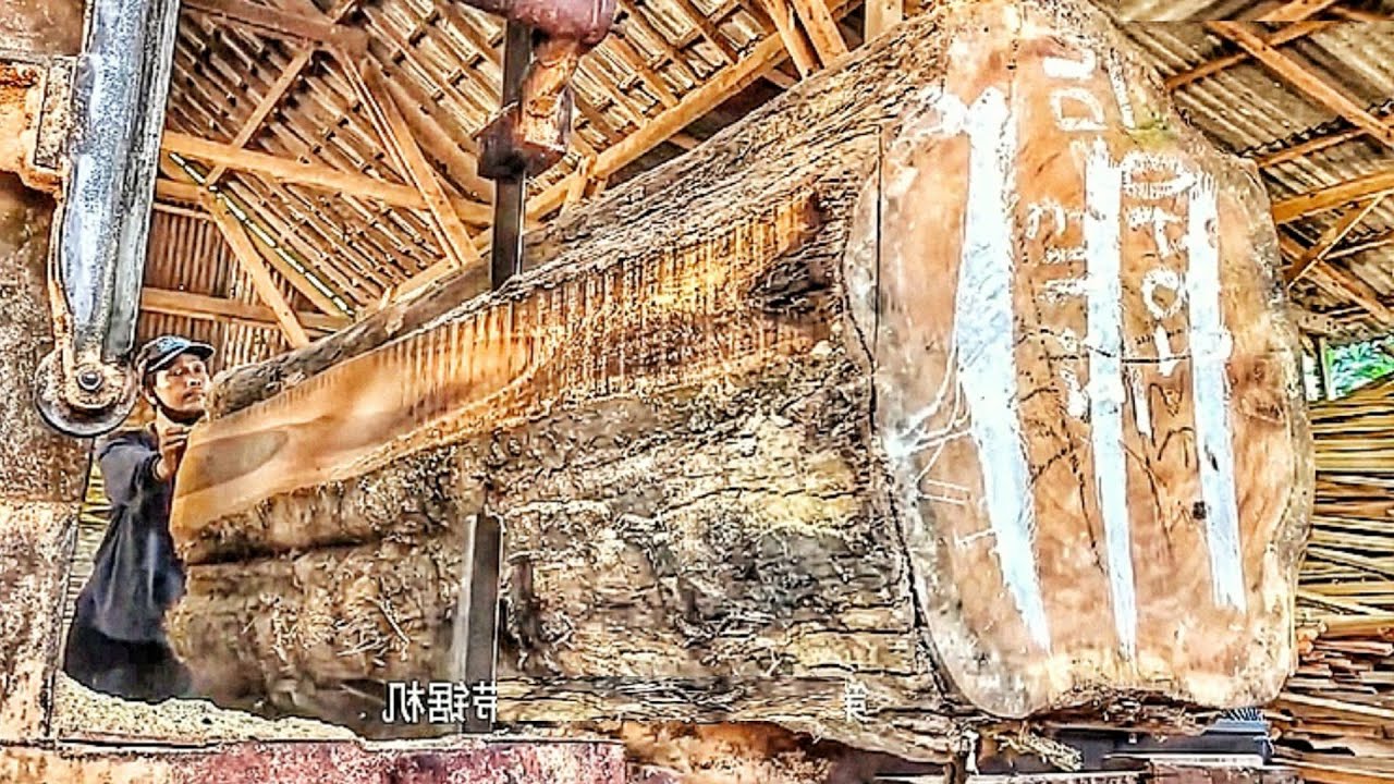 🌲The Journey of a Giant Log to a Premium Dining Table🌲