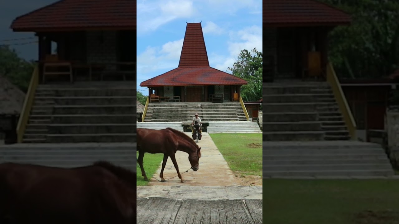 rumah budaya sumba - welcome to sumba
