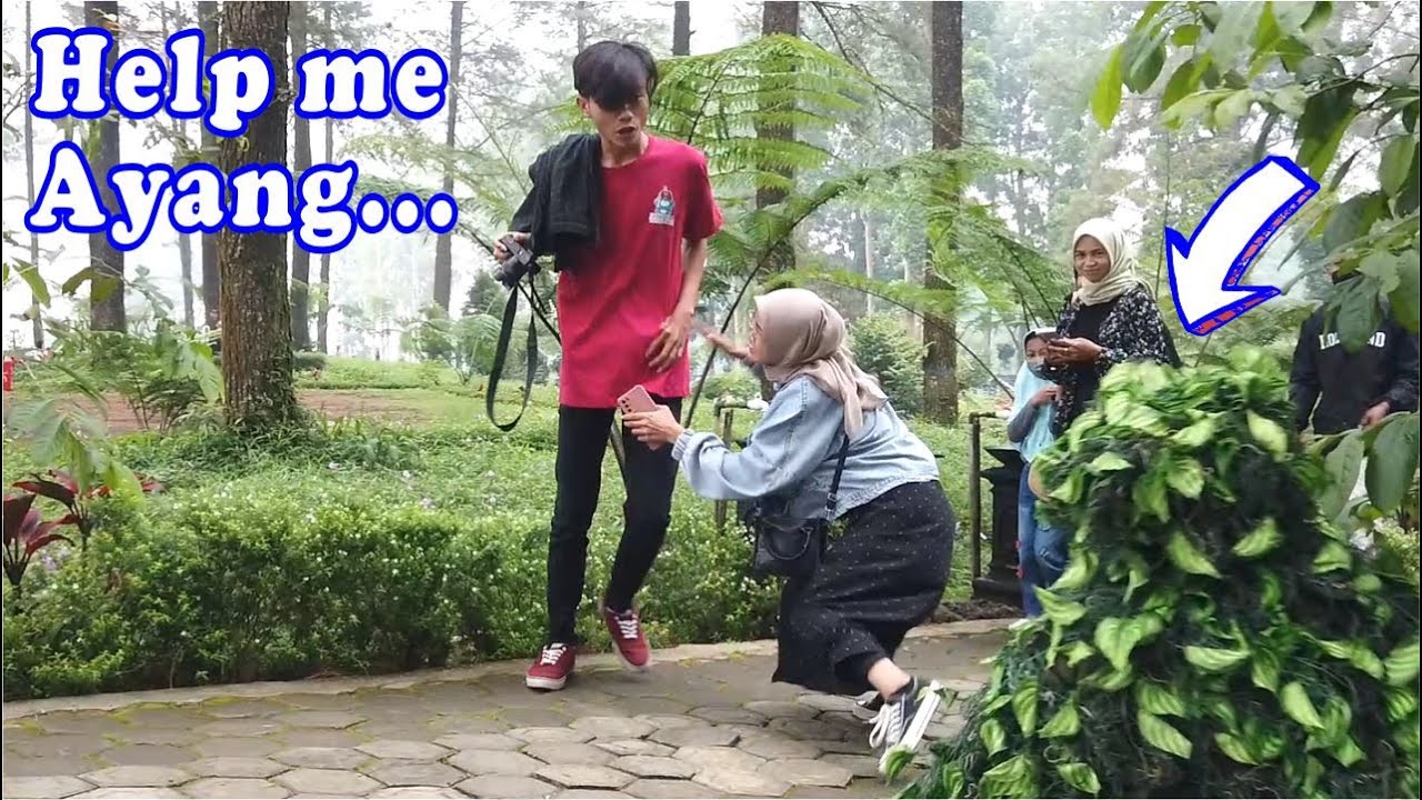 Prank manusia pohon kocak meriah || Bushman prank fun