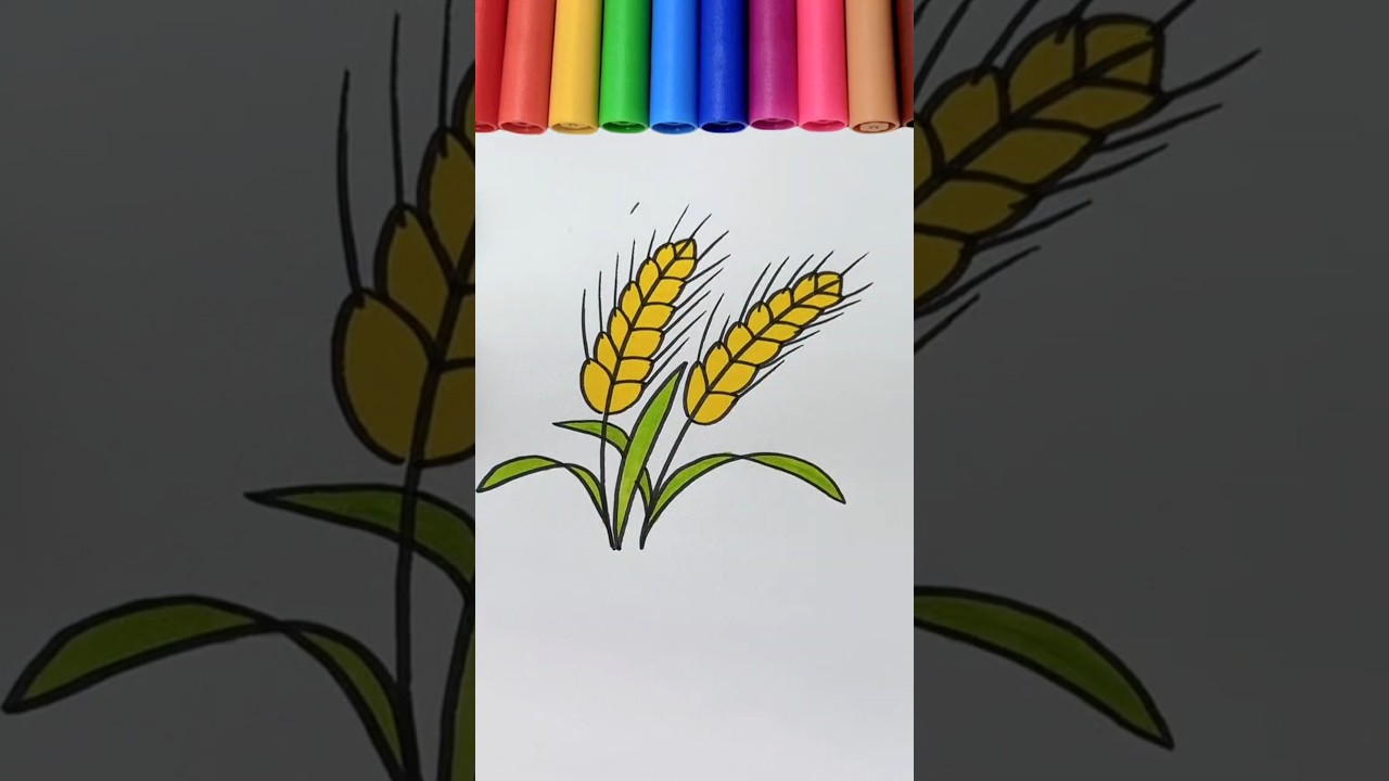 How to Draw Wheat Easy | Step-by-Step Drawing for Kids #shorts #drawing #wheat