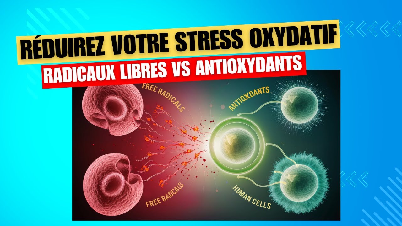 R&eacute;duire le stress oxydatif: &Eacute;quilibrez radicaux libres et antioxydants #StressOxydatif #antioxydant