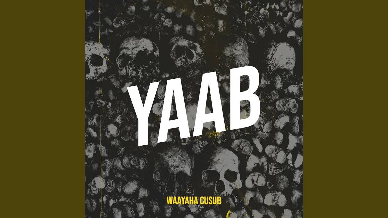 Yaab