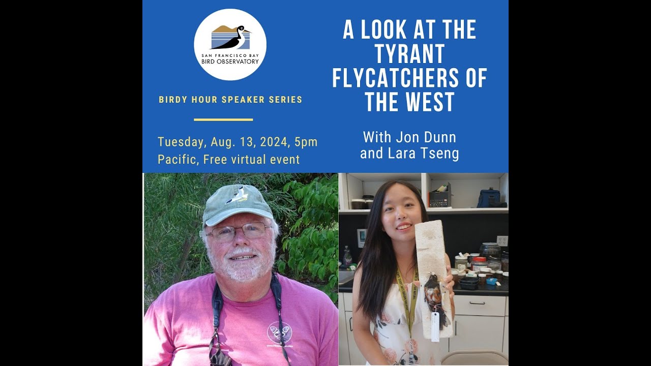 A Look at the Tyrant Flycatchers of the West