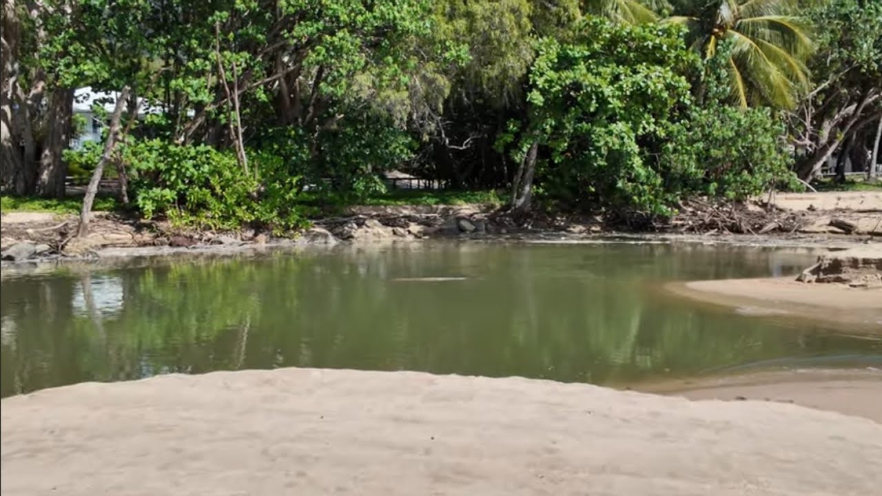 Looking for crocodiles on the last sunny day in Palm Cove