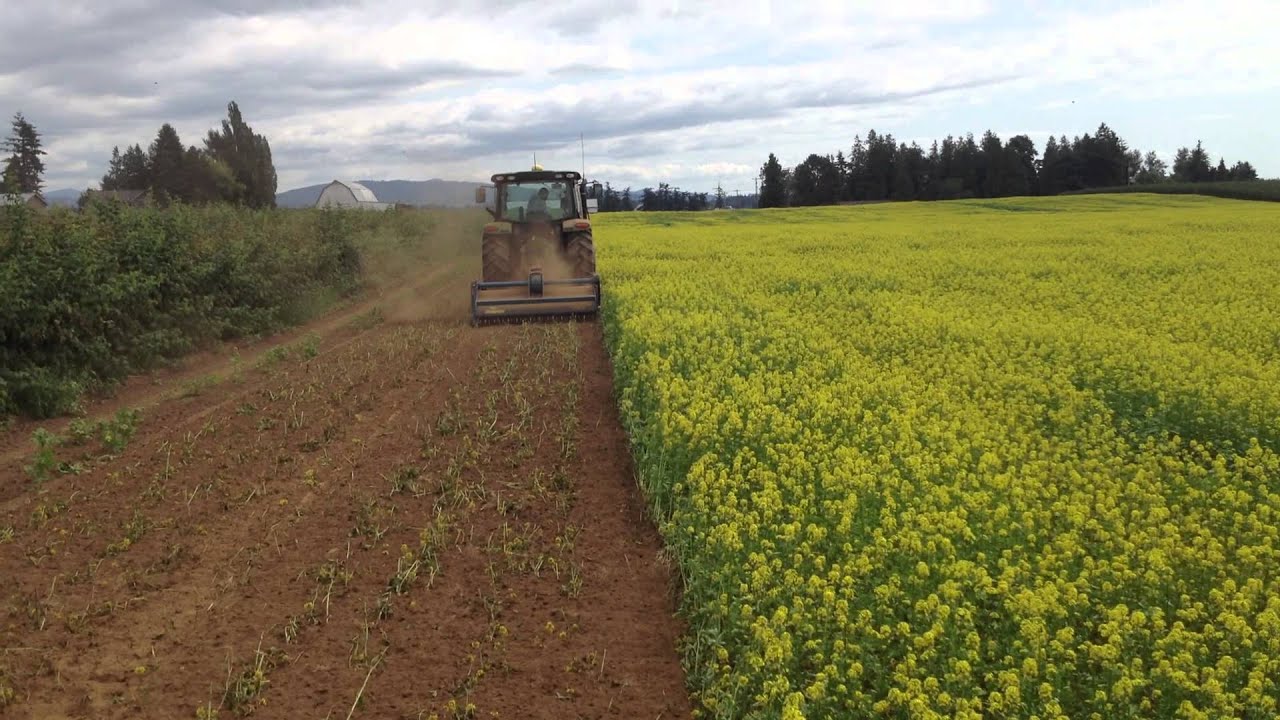 Imants 33SX behind JD 6125R
