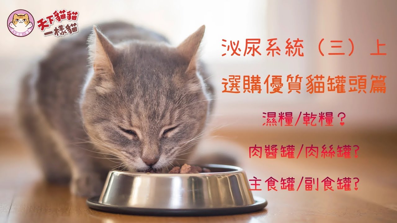 (三) 上篇 - 選購優質貓罐頭糧
