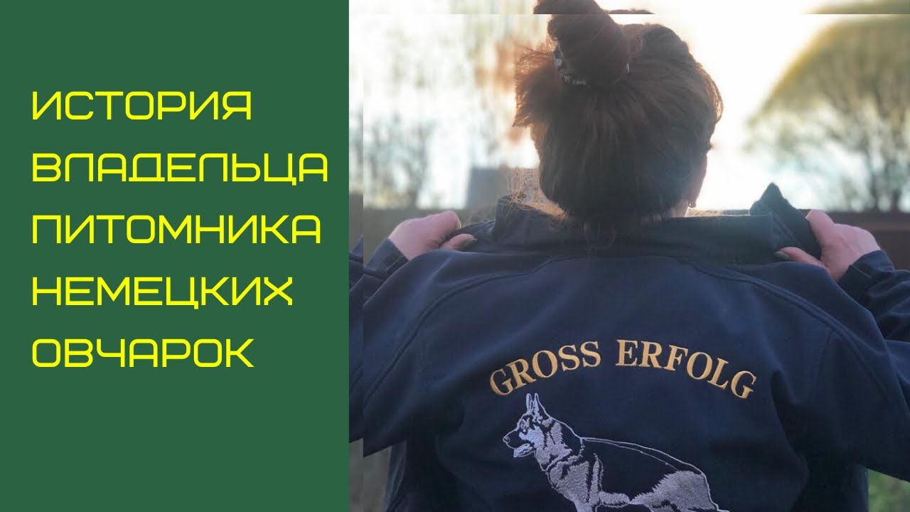 О питомнике немецких овчарок &laquo;Гросс Эрфольг&raquo; (Gross Erfolg) / рассказ владельца