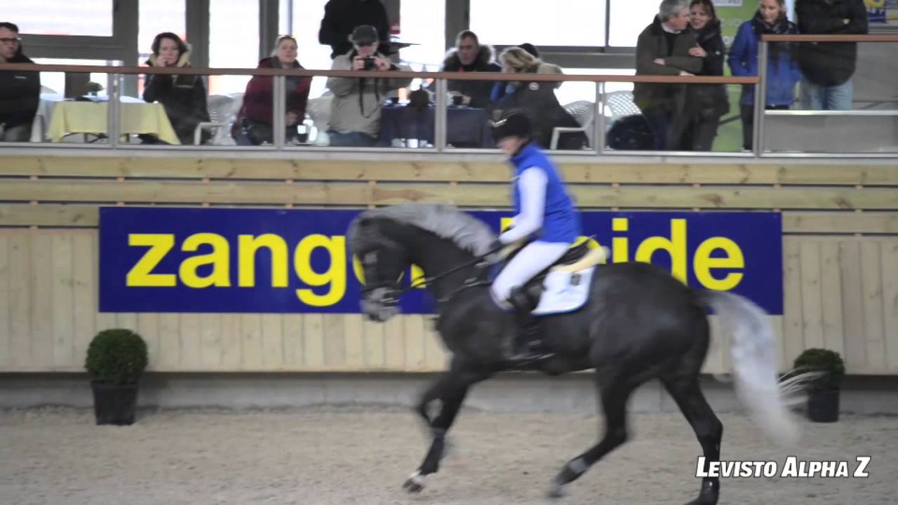 Zangersheide / Deauville 2014