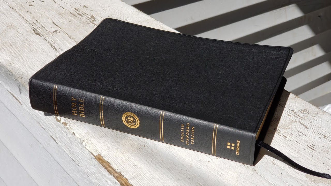 ESV Large Print Wide Margin 2018 Prereleased Copy Review.