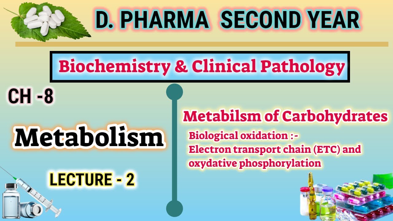 Electron tranport chain | CH-8 | L-2 | Metabolism | Biological oxidation | D.Pharm second year