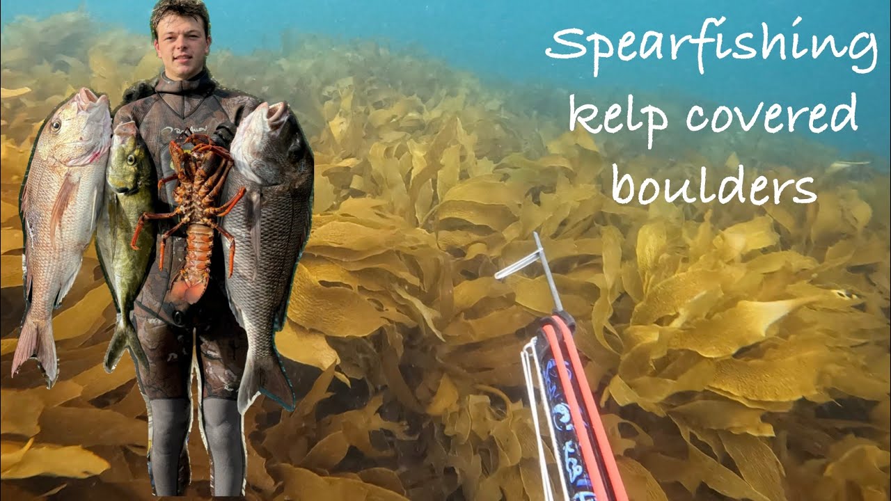 Spearfishing Northland NZ (summer - long format)