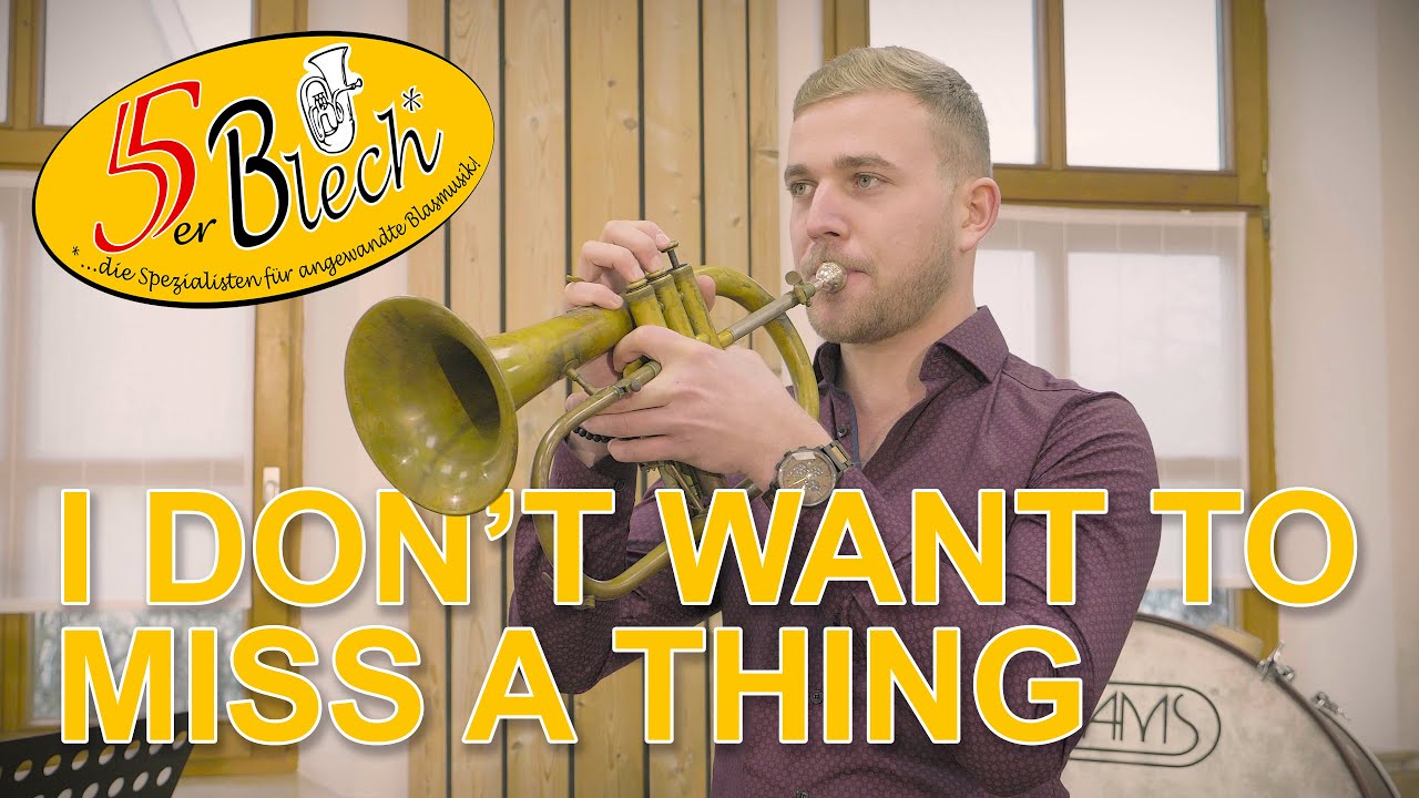 I don't want to miss a Thing | 5er Blech | Cover