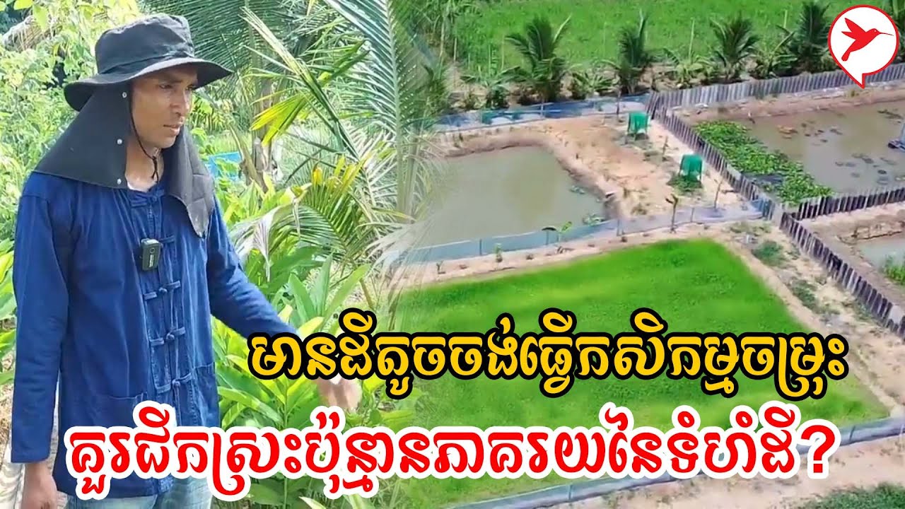 មានដីតូចចង់ធ្វើកសិកម្មចម្រុះ គួរជីកស្រះប៉ុន្មានភាគរយនៃទំហំដី? | កម្មវិធីកសិកម្ម