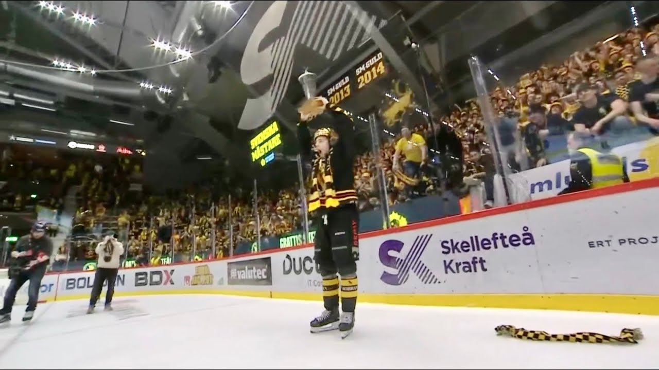 Elias Salomonsson Shifts - Skellefteå vs Rögle Game 5 - Apr 29 2024
