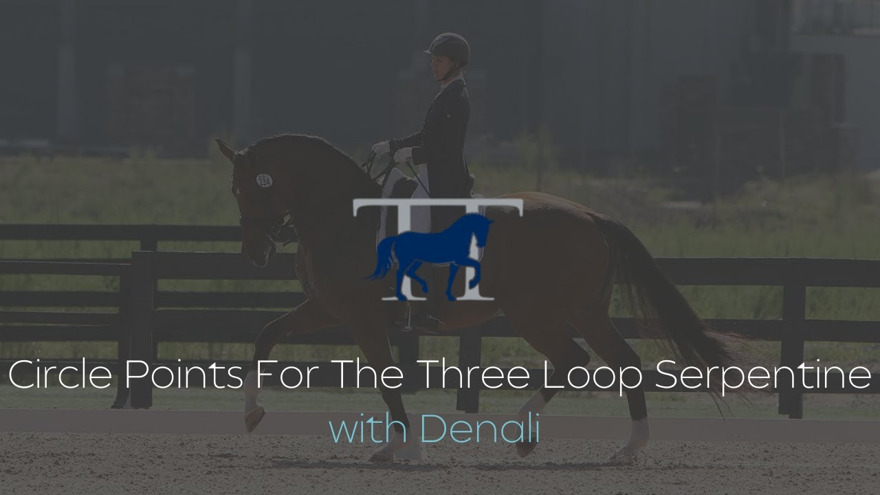 Circle Points for the Three Loop Serpentine with Denali