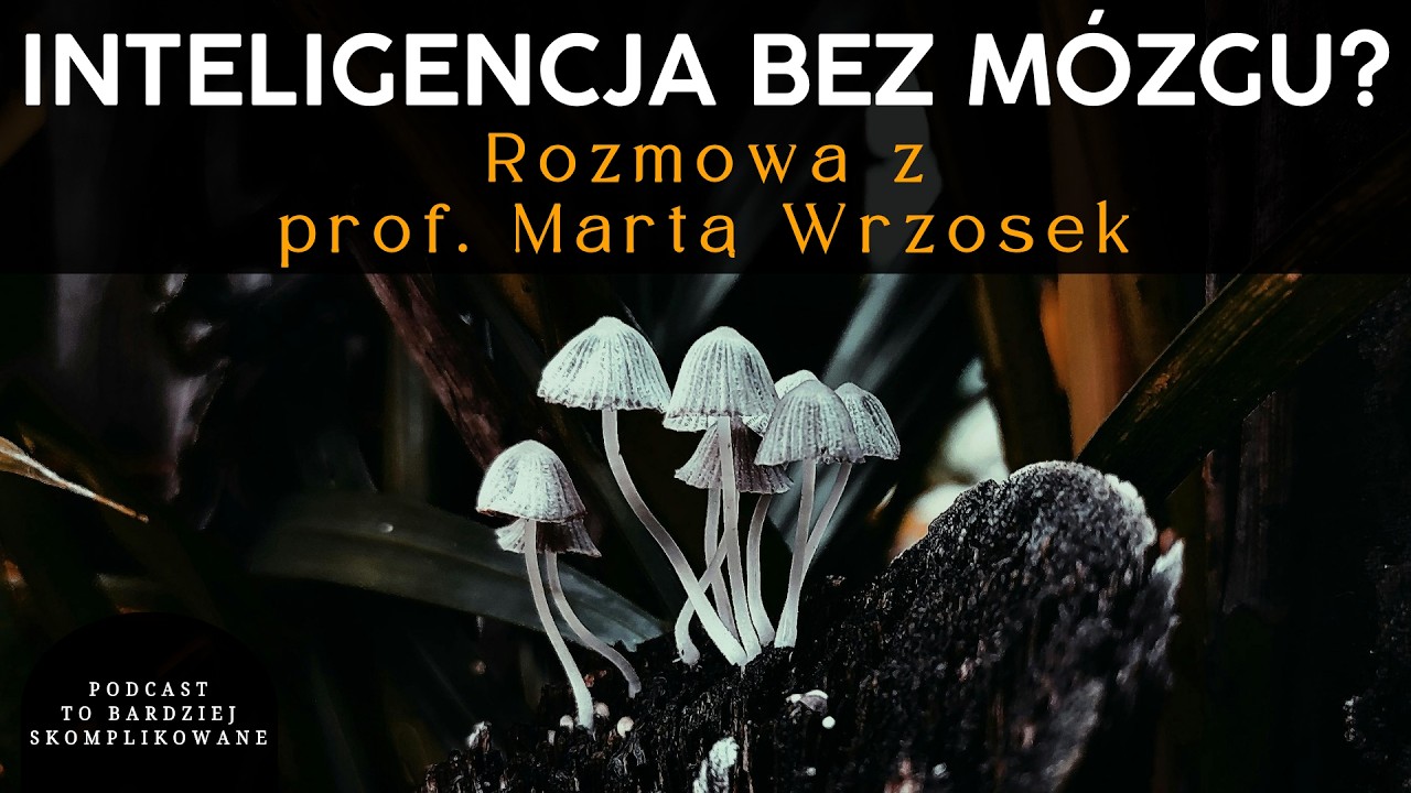 Czym naprawdę jest grzybnia? Od biologicznych mechanizm&oacute;w po inteligencję | prof. Marta Wrzosek