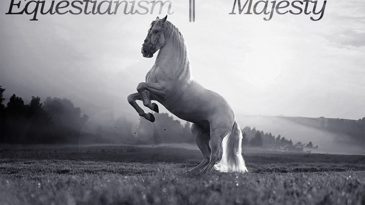 Equestrianism || Majesty