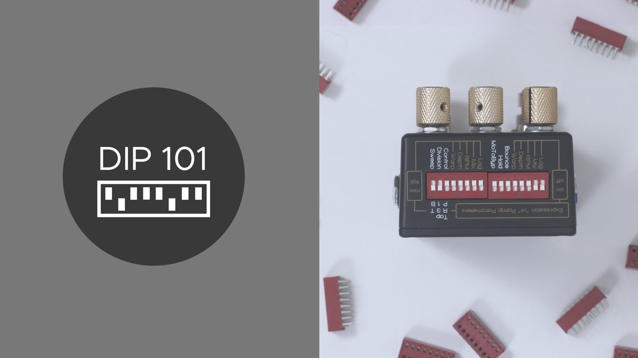 Dip switch 101