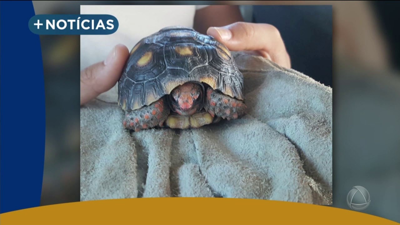 Acompanhe mais not&iacute;cias de Sergipe- Jornal do Estado