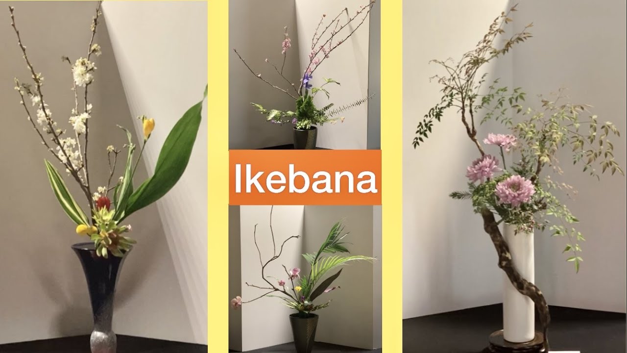 🔴Ikebana Show