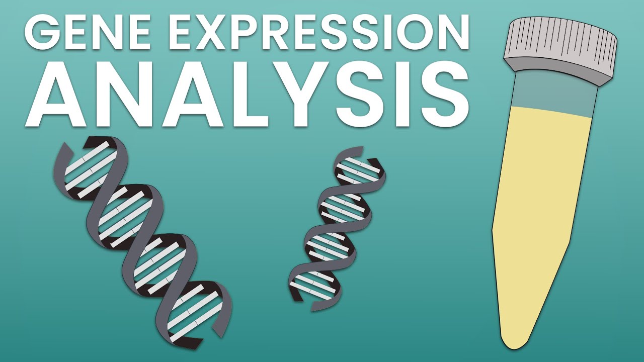 An introduction to gene expression analysis