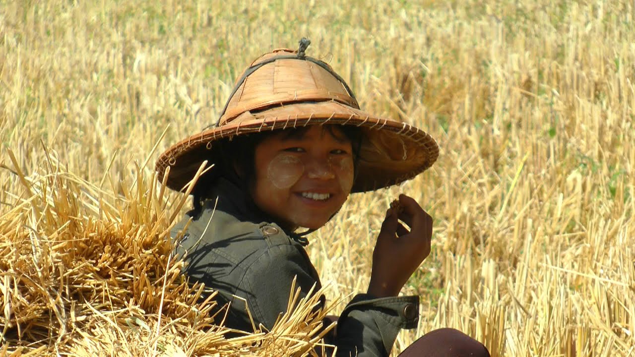 MYANMAR (BURMA) hard work for a living