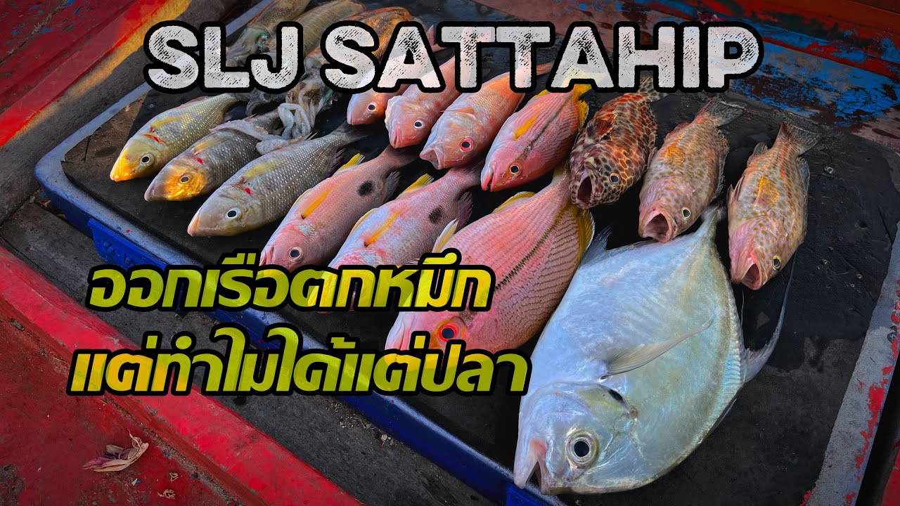 SLJ สัตหีบ เล็กๆเก็บใหญ่ๆปล่อย😂 #นักตกภูธร #microjig #jigging 