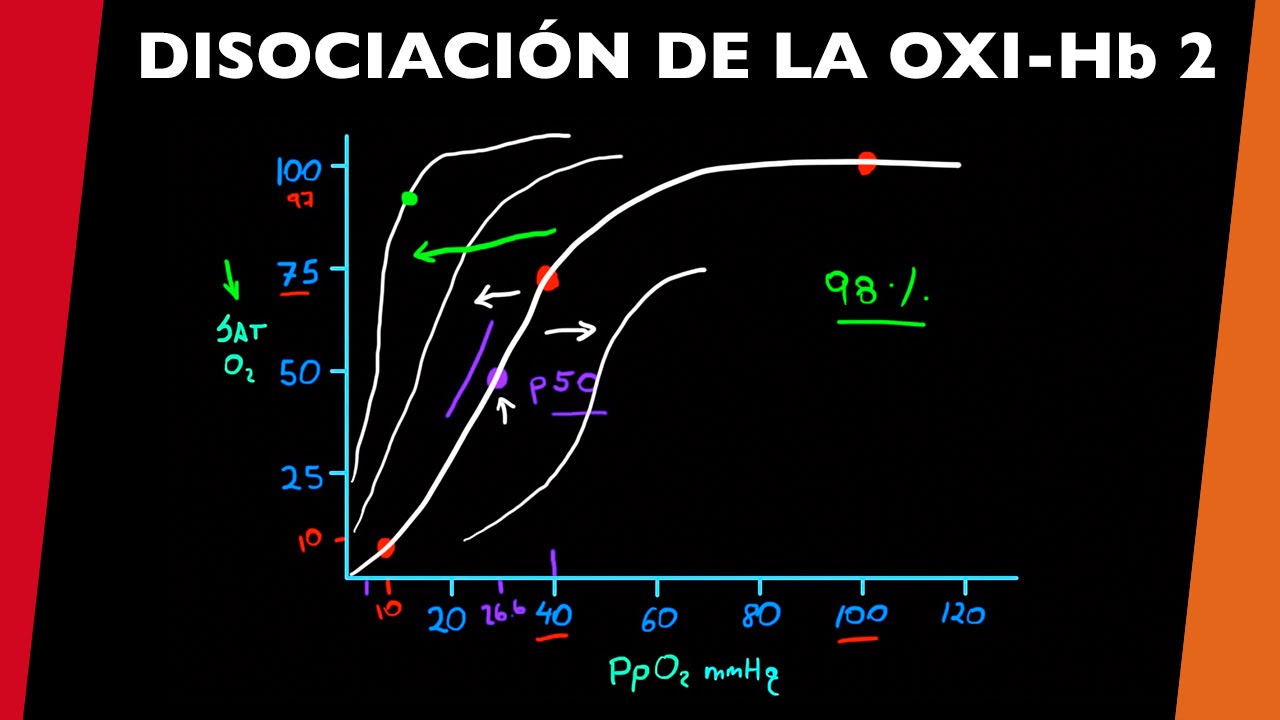 Curva de disociación de oxihemoglobina 2 - [visita mi Podcast y aprende Medicina mientras descansas]