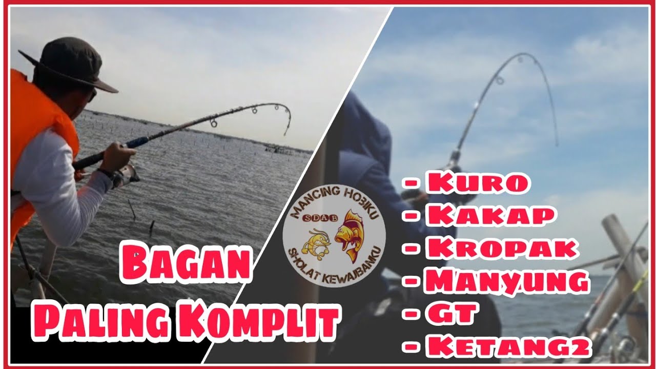 Bagan Bang Jumadi No 1 Penuh Kejutan | Mancing Bagan Marunda | Spot Mancing Muara Tawar | Bagan BKT