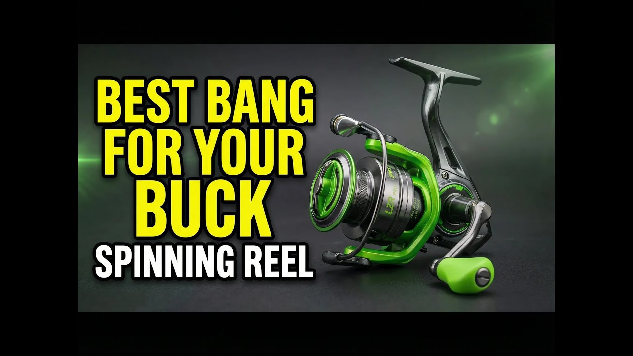 Best Bang for your Buck Spinning Reel