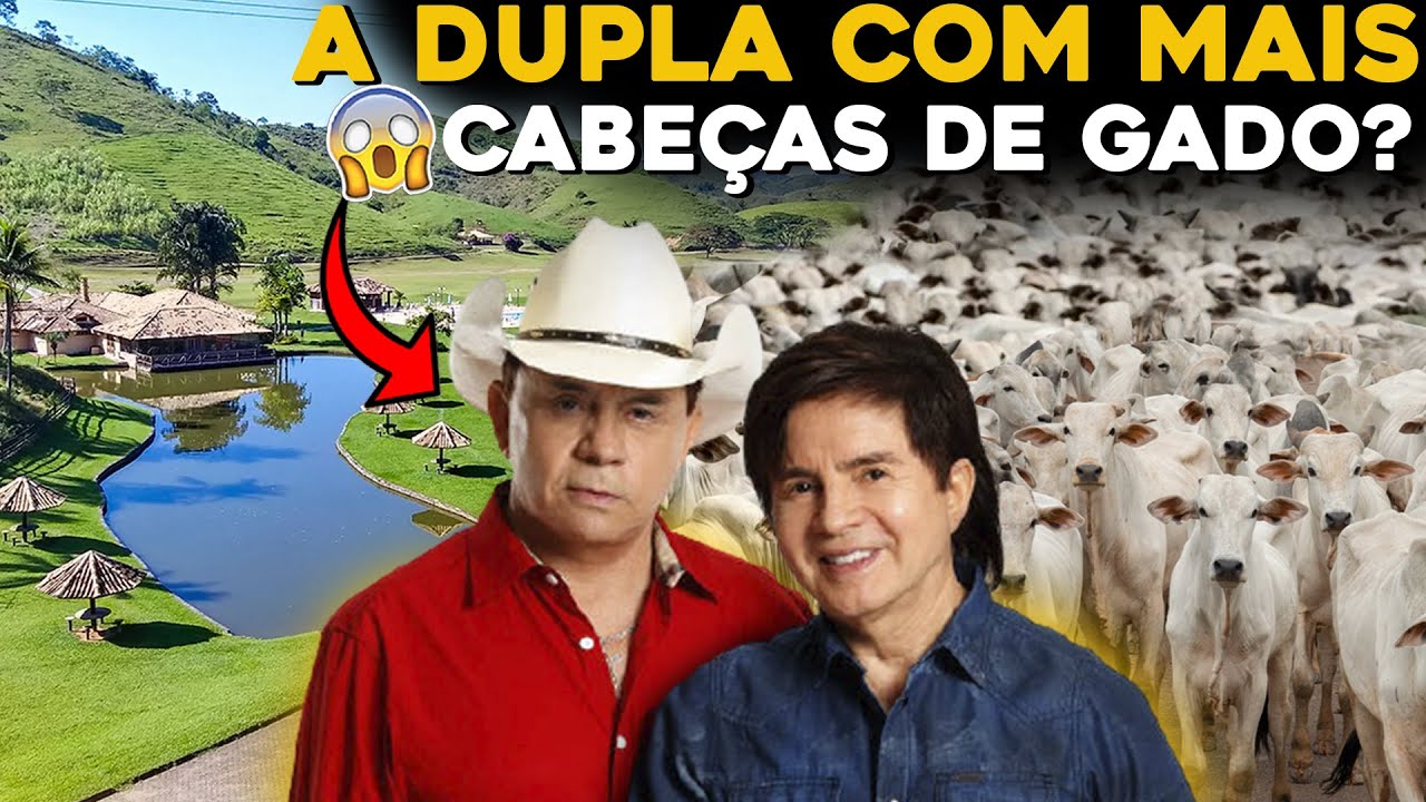 AS INCRÍVEIS FAZENDAS DE CHITÃOZINHO E XOXORÓ!