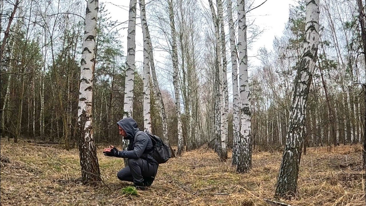 🤯 ТРЕШ! ТУТ БУЛИ НЕЛЮДИ! ТАКОГО Я ЩЕ НЕ БАЧИВ У ЛІСІ!