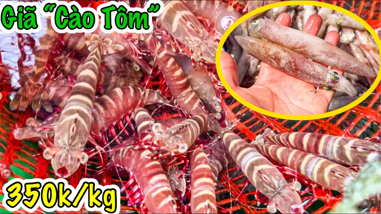 Giã Cào “Tôm” | Đổ Đục Tôm Nhảy Cực Mê | Đánh Bắt Đa Dạng Các Loại Hải Sản | Sơn Phú Quốc