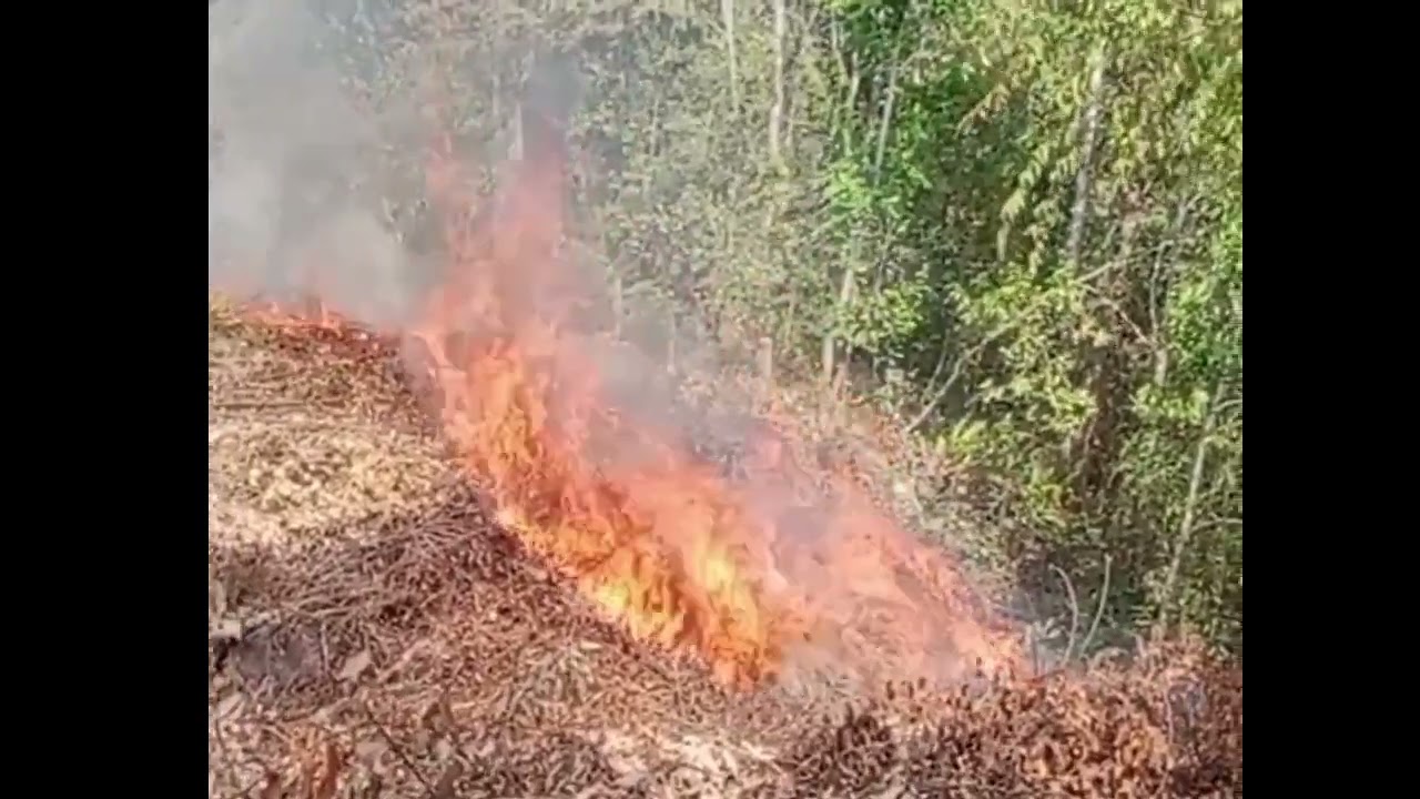 Hmong country side burn the farm
