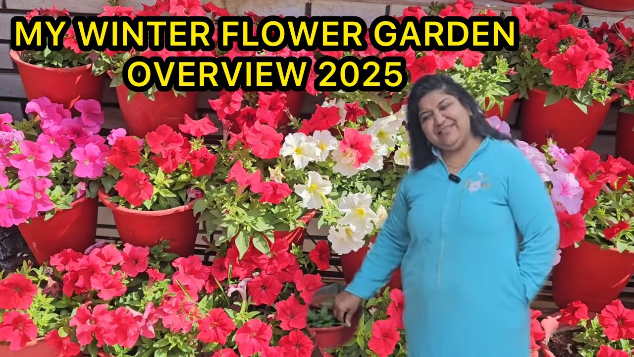 Winter Garden Overview 2025 - FUN GARDENING