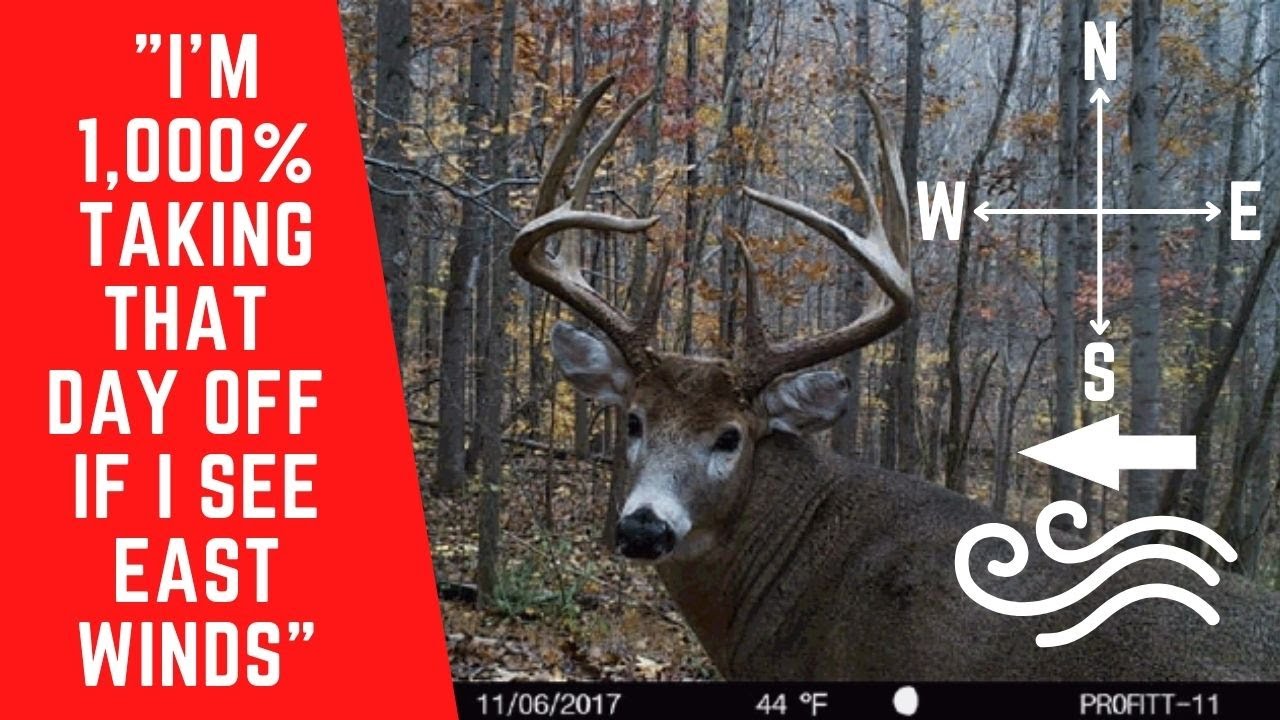 Why You Should ALWAYS Hunt An East Wind!!!