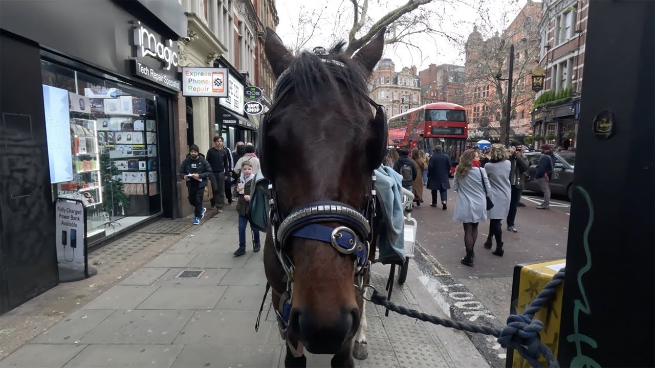 Gypsy & Travellers Community London Christmas Horse Drive, 6th December 2025