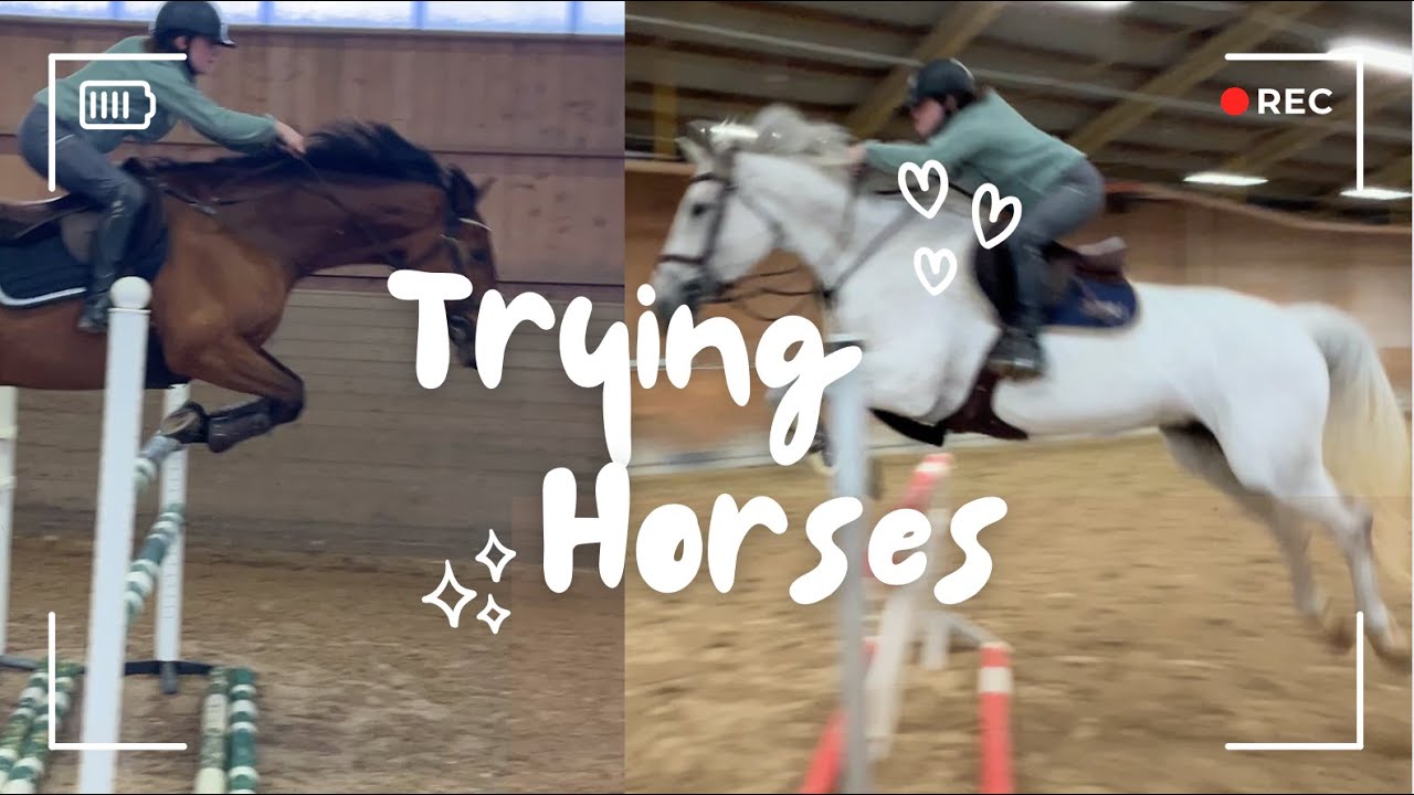 TRYING HORSES!